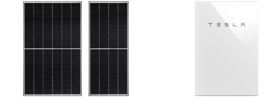 Q.PEAK DUO-G9+ Q.PEAK DUO MS-G9+ テスラPowerwall