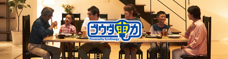 ゴウダ電力